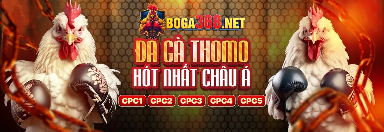 Đá gà trực tuyến 118bet trang chủ chính thức